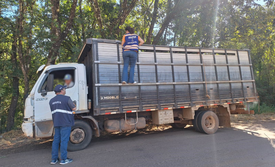 Operação conjunta da Receita Estadual e Adapar apreende R$ 2,6 milhões em mercadorias irregulares