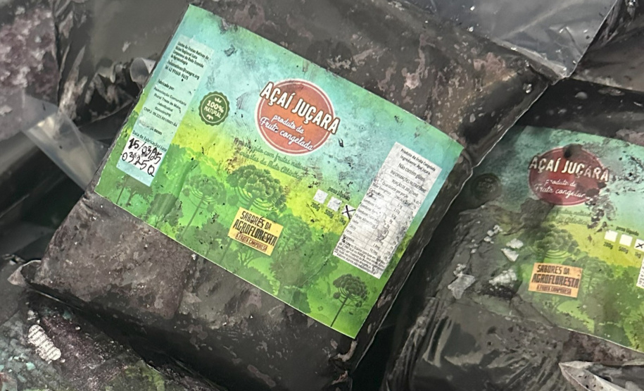 SEED - Polpas de frutas nativas enriquecem cardápio e promovem educação alimentar nas escolas do Paraná