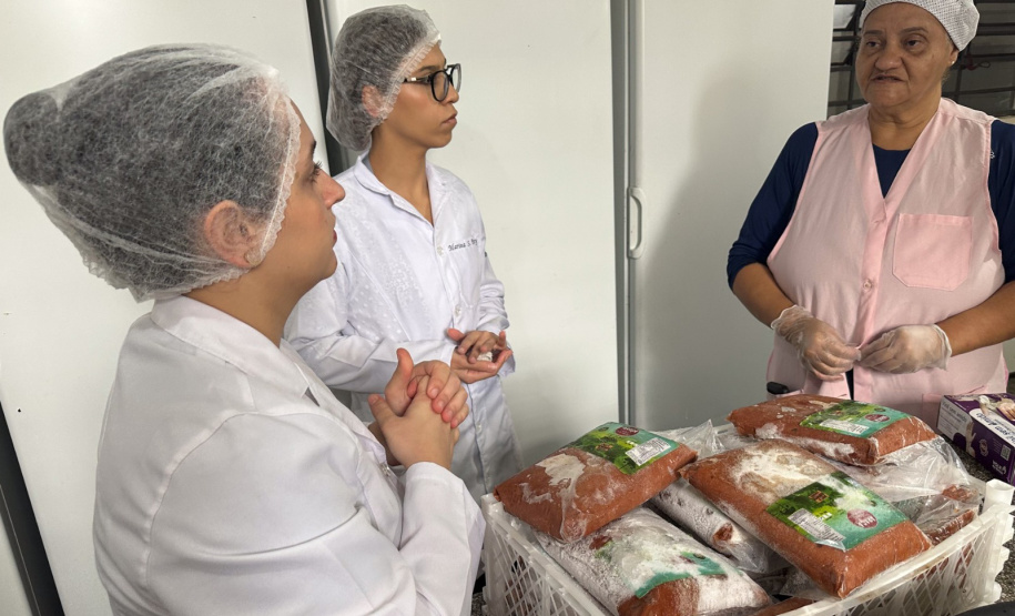 SEED - Polpas de frutas nativas enriquecem cardápio e promovem educação alimentar nas escolas do Paraná