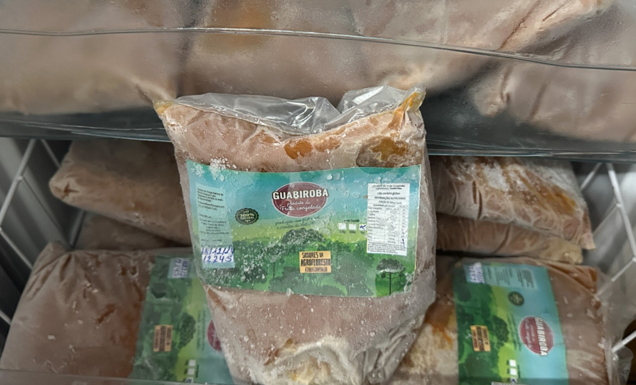 SEED - Polpas de frutas nativas enriquecem cardápio e promovem educação alimentar nas escolas do Paraná