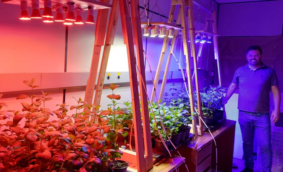 TECPAR - pesquisa propõe soluções sustentáveis para a agricultura e conservação de alimentos