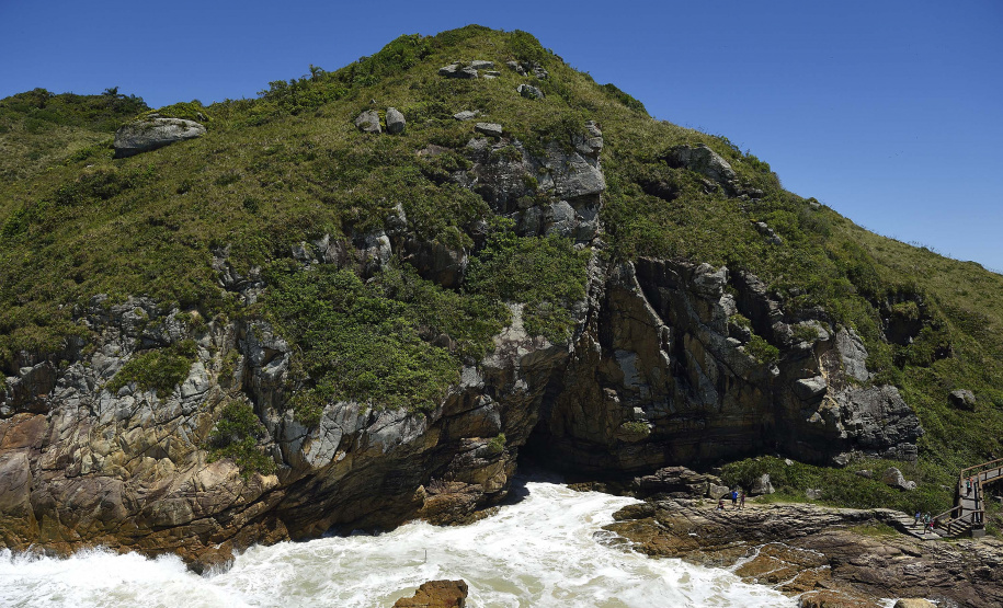 IAT - Queda no desmatamento Mata Atlântica
