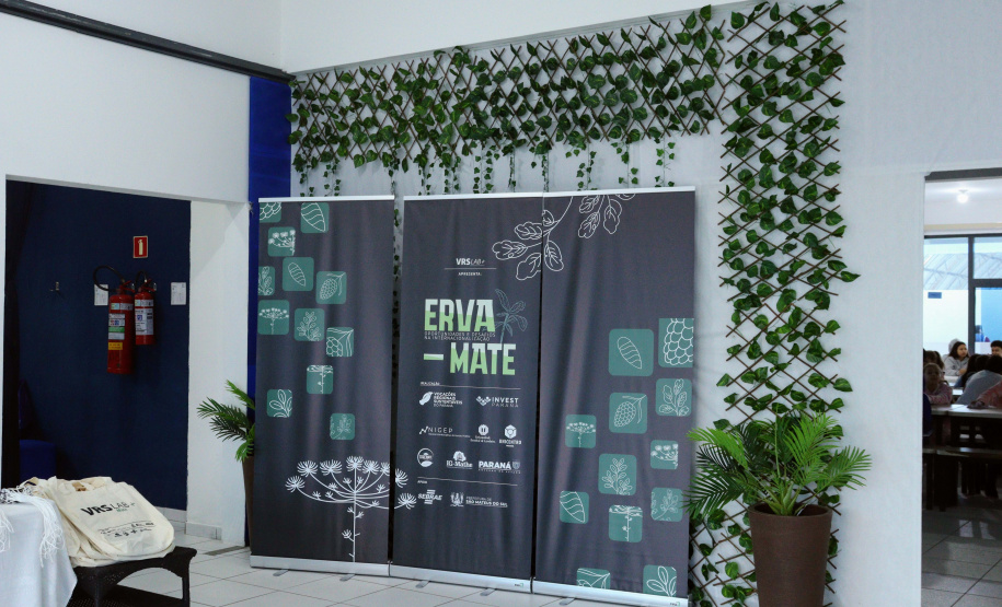 Paraná avança na internacionalização da erva-mate com novas parcerias e investimento