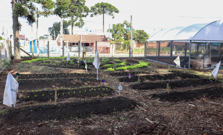 SEFA - Transformando vidas: como o Nota Paraná fortalece o trabalho de entidades sociais no Estado