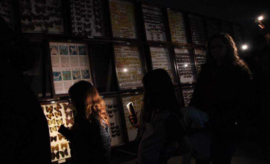 Museu de Ciências Naturais da Unicentro promove “Noite Luminescente” com oficinas