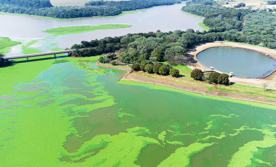 IAT QUEDA NO DESMATAMENTO