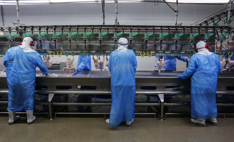 Paraná encaminha à Alep projeto de parcelamento de dívidas de cooperativas