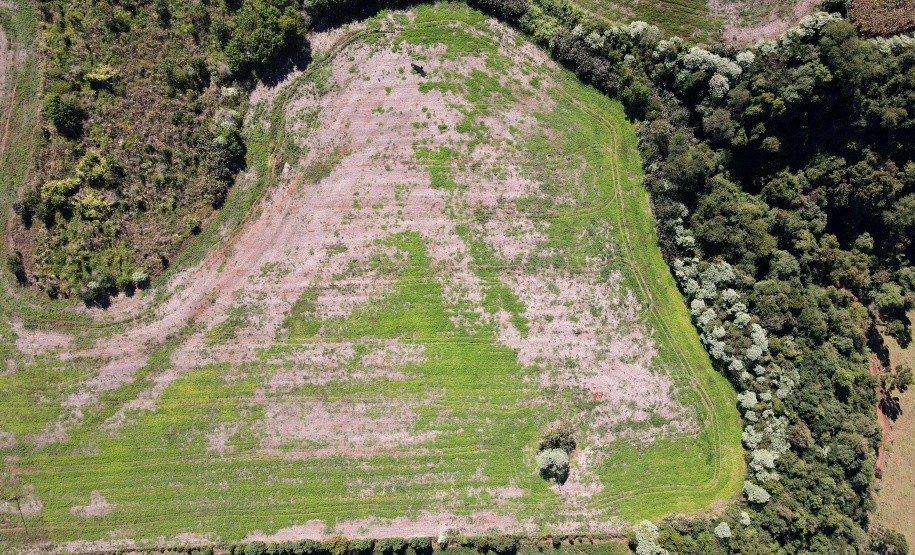 IAT aplicou R$ 2,2 milhões em multas ambientais durante a 1ª Operação de Combate ao Desmatamento Ilegal de 2025