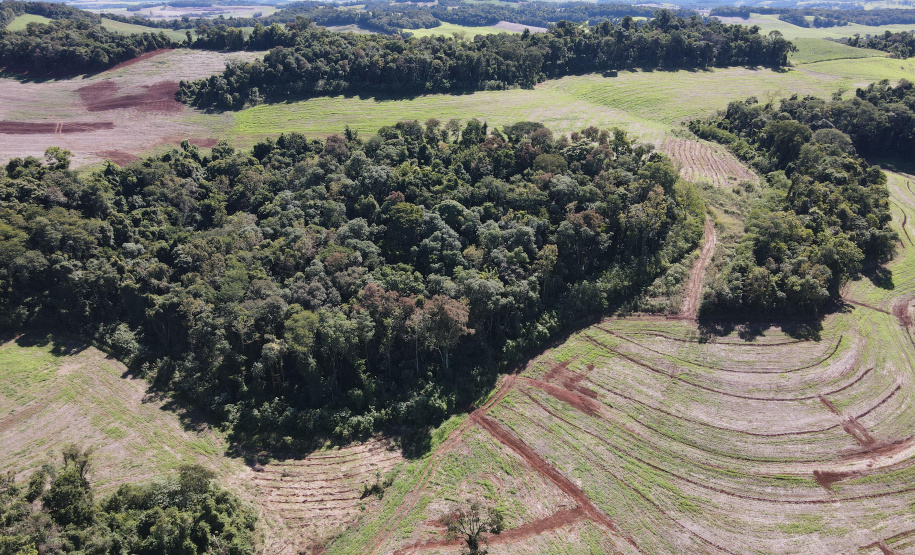 IAT aplicou R$ 2,2 milhões em multas ambientais durante a 1ª Operação de Combate ao Desmatamento Ilegal de 2025