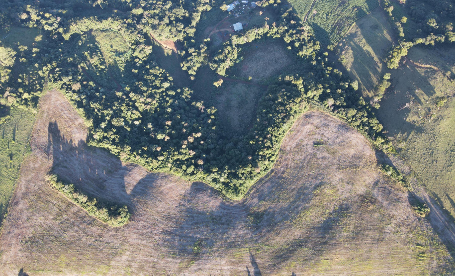 IAT aplicou R$ 2,2 milhões em multas ambientais durante a 1ª Operação de Combate ao Desmatamento Ilegal de 2025