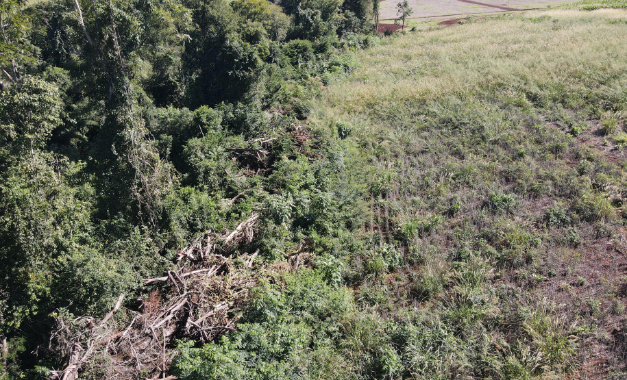 IAT aplicou R$ 2,2 milhões em multas ambientais durante a 1ª Operação de Combate ao Desmatamento Ilegal de 2025