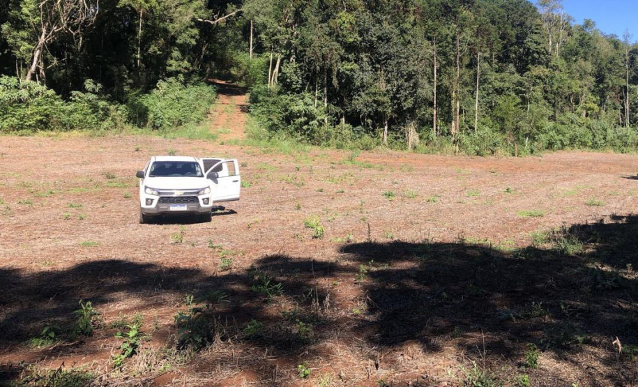 IAT aplicou R$ 2,2 milhões em multas ambientais durante a 1ª Operação de Combate ao Desmatamento Ilegal de 2025