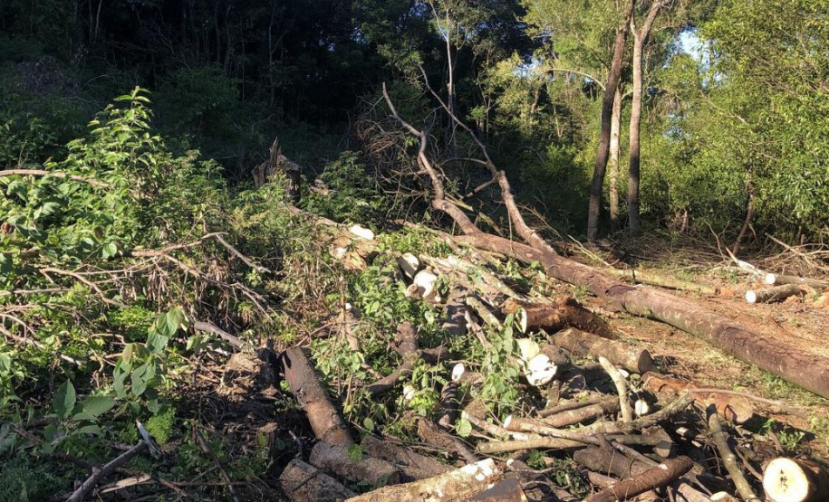 IAT aplicou R$ 2,2 milhões em multas ambientais durante a 1ª Operação de Combate ao Desmatamento Ilegal de 2025