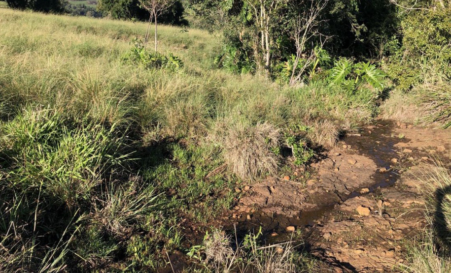 IAT aplicou R$ 2,2 milhões em multas ambientais durante a 1ª Operação de Combate ao Desmatamento Ilegal de 2025