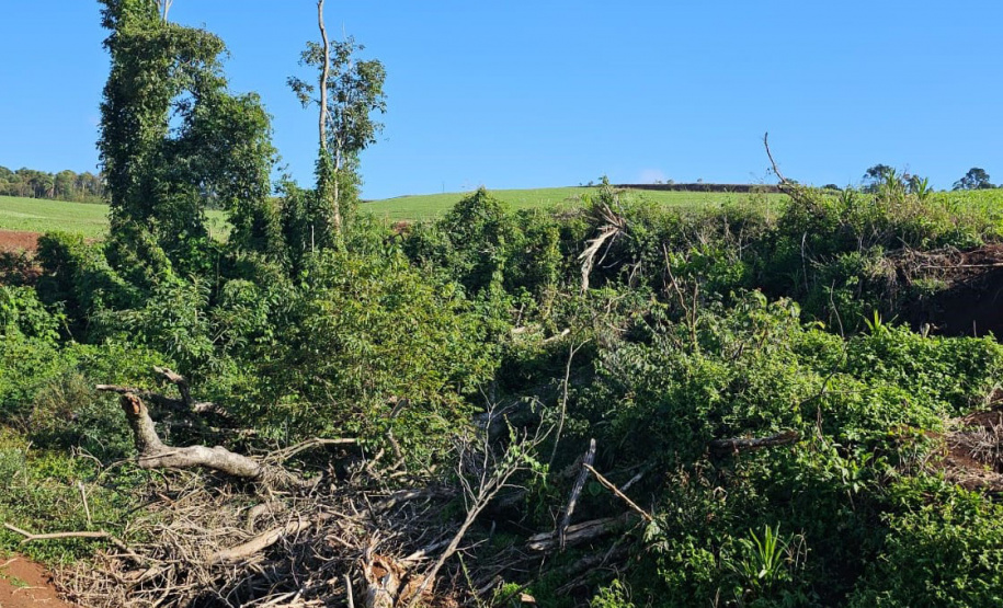 IAT aplicou R$ 2,2 milhões em multas ambientais durante a 1ª Operação de Combate ao Desmatamento Ilegal de 2025