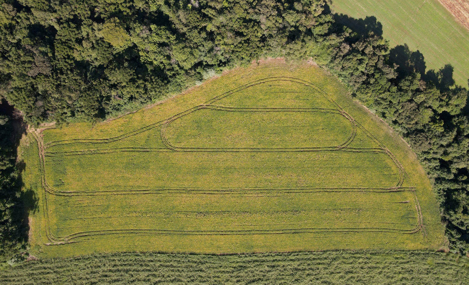 IAT aplicou R$ 2,2 milhões em multas ambientais durante a 1ª Operação de Combate ao Desmatamento Ilegal de 2025