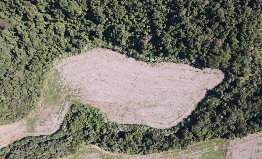 IAT aplicou R$ 2,2 milhões em multas ambientais durante a 1ª Operação de Combate ao Desmatamento Ilegal de 2025