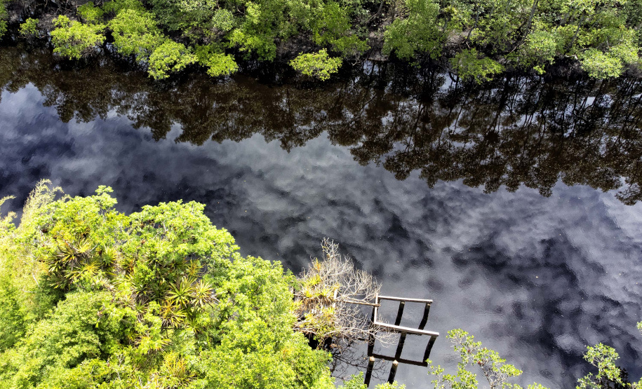IAT SEMANA DO MEIO AMBIENTE