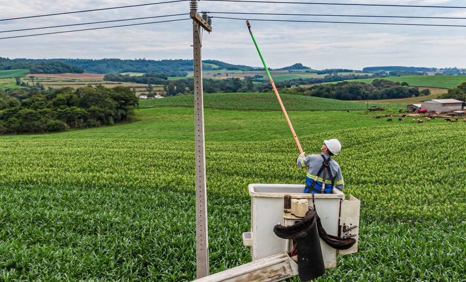 Paraná Trifásico leva rede elétrica mais potente e estável à agroindústria cada vez mais moderna e inovadora