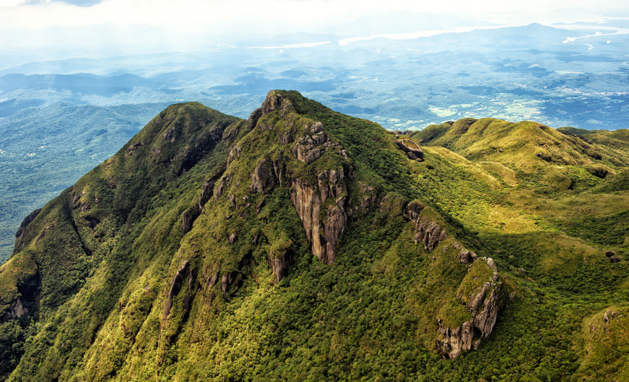 IAT - Queda no desmatamento Mata Atlântica