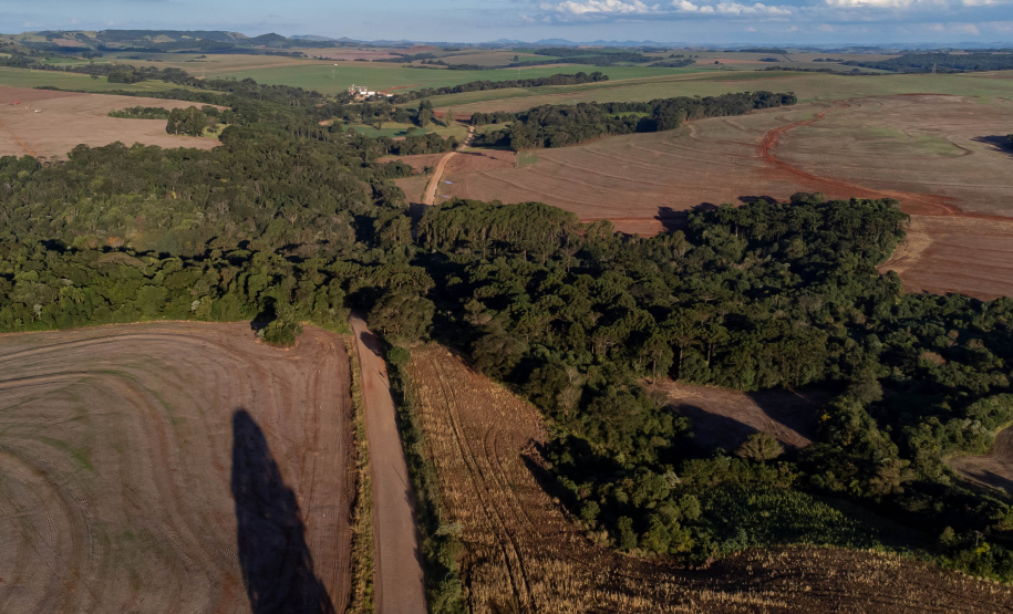 GOVERNADOR - PR-239 entre Mato Rico e Roncador