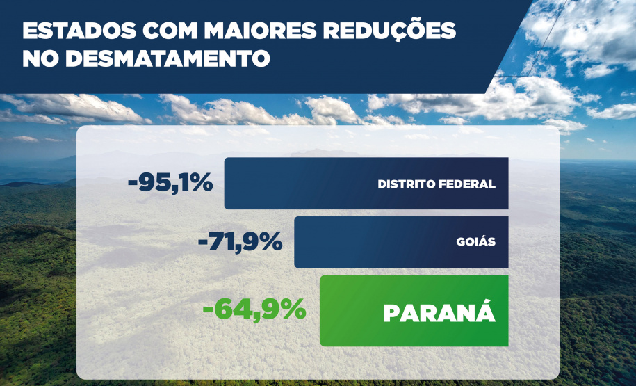 Com queda de 64,9%, Paraná teve a 3ª maior redução de desmatamento do Brasil em 2024