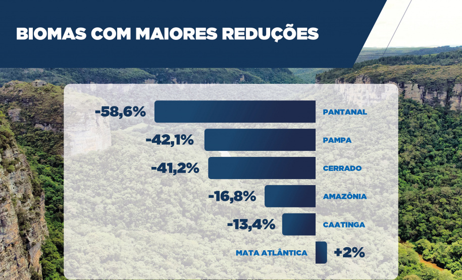 Com queda de 64,9%, Paraná teve a 3ª maior redução de desmatamento do Brasil em 2024