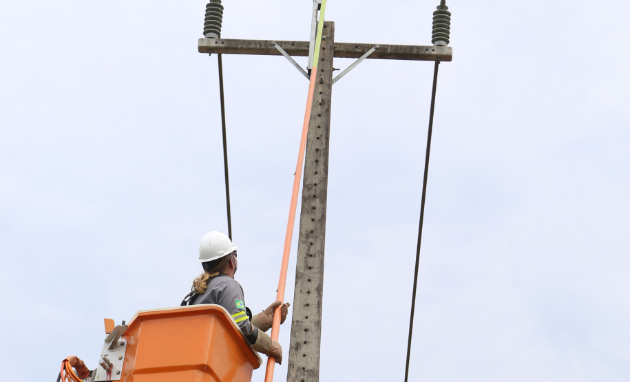 Paraná Trifásico leva rede elétrica mais potente e estável à agroindústria cada vez mais moderna e inovadora