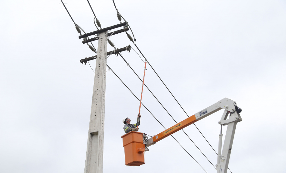 Paraná Trifásico leva rede elétrica mais potente e estável à agroindústria cada vez mais moderna e inovadora