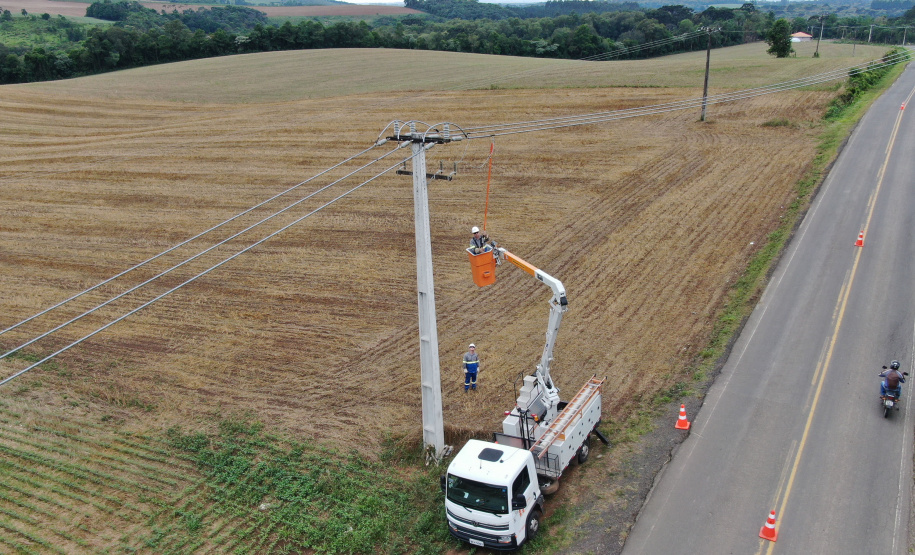 Paraná Trifásico leva rede elétrica mais potente e estável à agroindústria cada vez mais moderna e inovadora