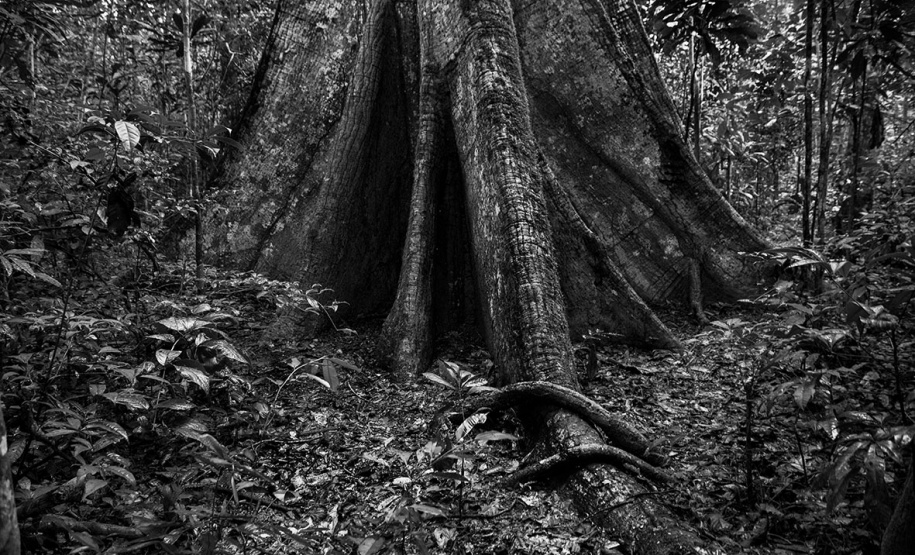 BRDE - mergulho caleidoscópico entre dragas e dragões, da fotógrafa Vilma Slomp nova exposição no Espaço Cultural BRDE