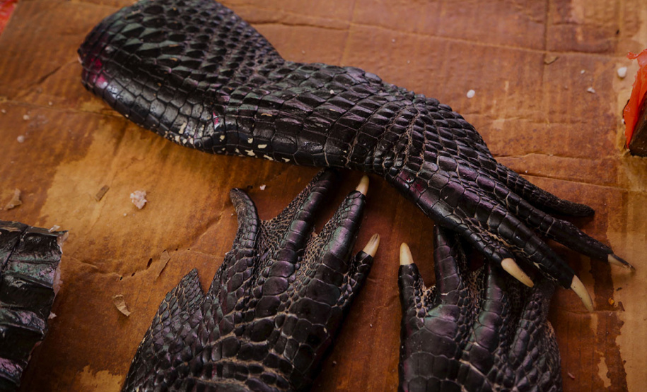 BRDE - mergulho caleidoscópico entre dragas e dragões, da fotógrafa Vilma Slomp nova exposição no Espaço Cultural BRDE