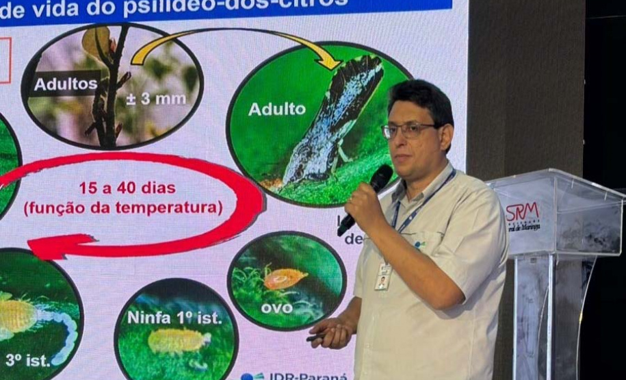 Simpósio na ExpoIngá reforça união de esforços no combate ao greening