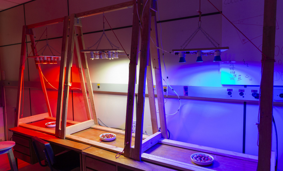 TECPAR - pesquisa propõe soluções sustentáveis para a agricultura e conservação de alimentos