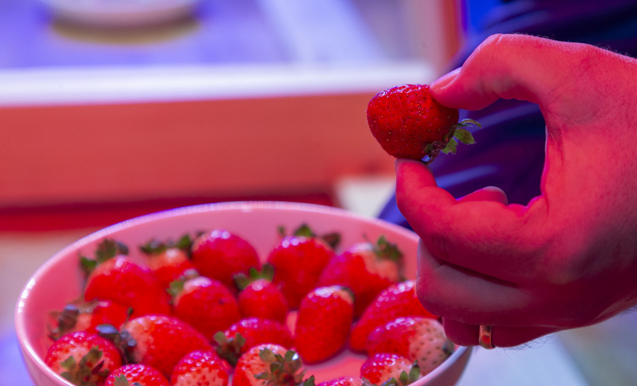 TECPAR - pesquisa propõe soluções sustentáveis para a agricultura e conservação de alimentos