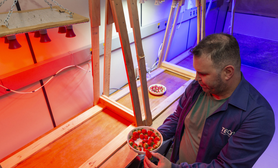 TECPAR - pesquisa propõe soluções sustentáveis para a agricultura e conservação de alimentos