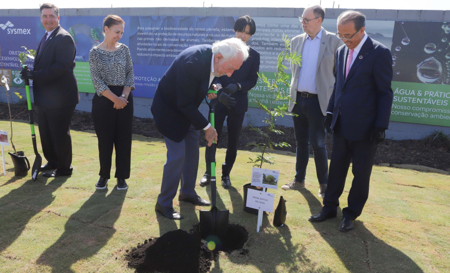 DARCI PIANA - SYSMEX