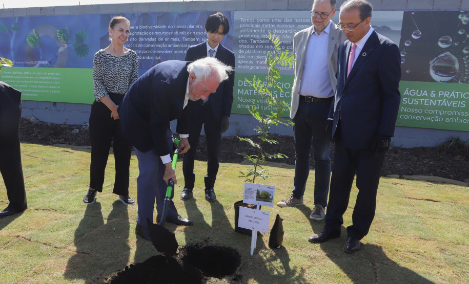 DARCI PIANA - SYSMEX