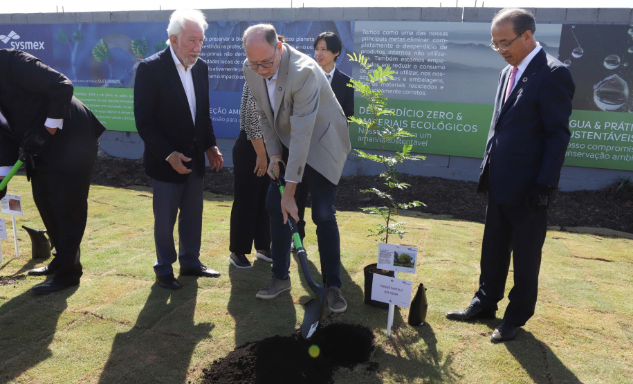 DARCI PIANA - SYSMEX