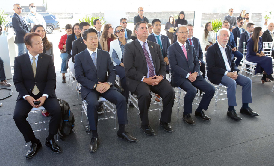 DARCI PIANA - SYSMEX