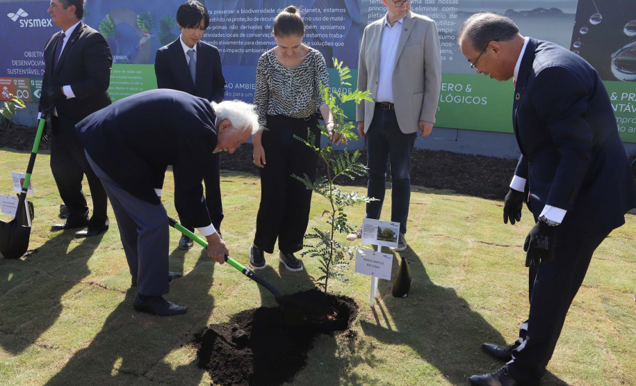 DARCI PIANA - SYSMEX