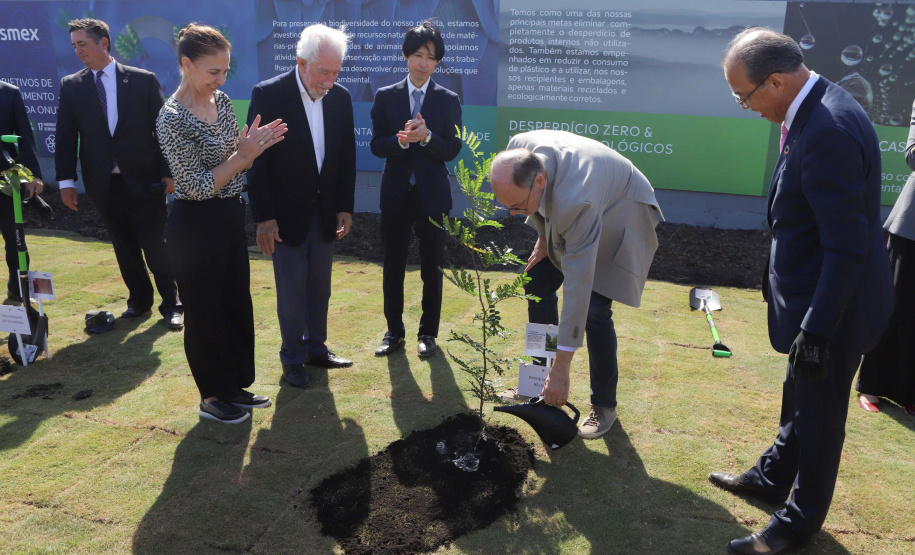 DARCI PIANA - SYSMEX