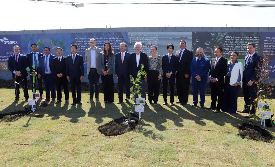 DARCI PIANA - SYSMEX