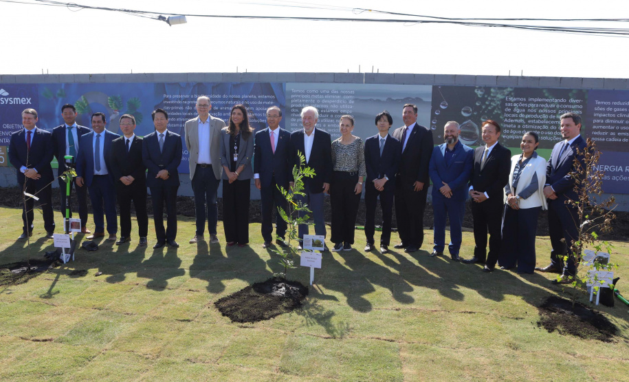 DARCI PIANA - SYSMEX