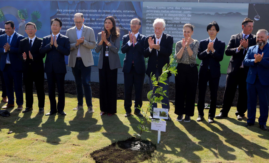 DARCI PIANA - SYSMEX