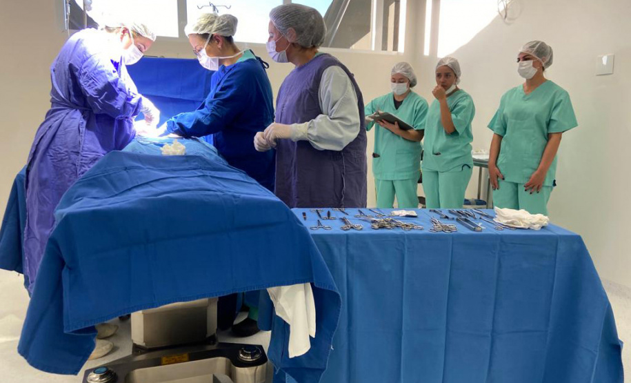 SESA Paraná realiza mais de duas mil cirurgias eletivas por dia