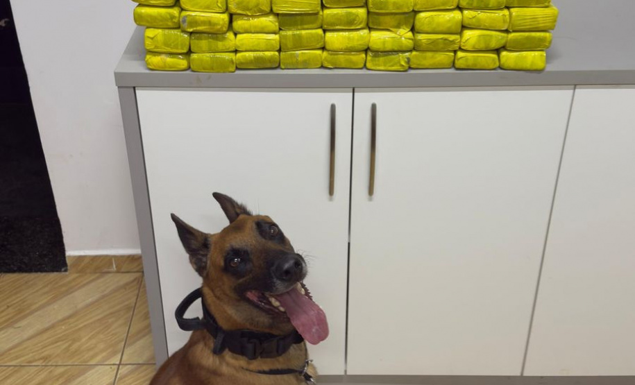 SESP POLICIAMENTO ESTRADAS FERIADO