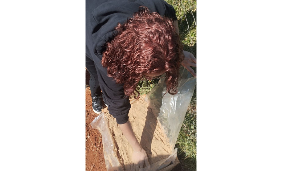 Educação ambiental: estudantes de colégio estadual em Arapoti transformam lixo orgânico em adubo para horta