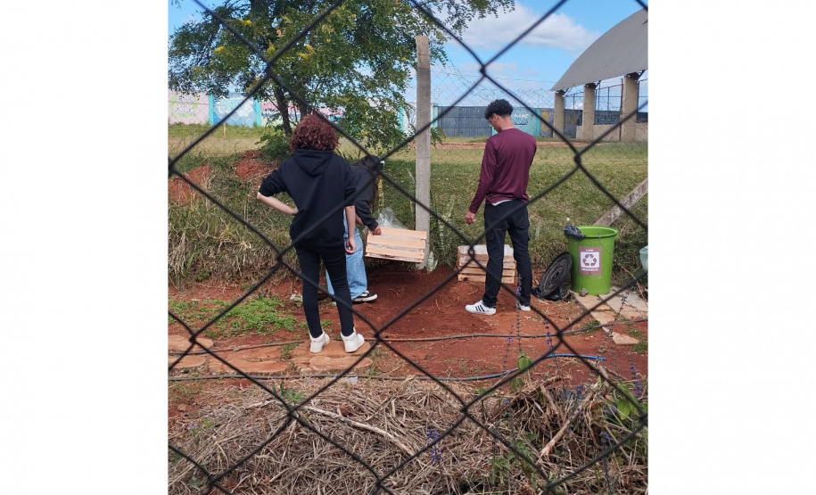 Educação ambiental: estudantes de colégio estadual em Arapoti transformam lixo orgânico em adubo para horta