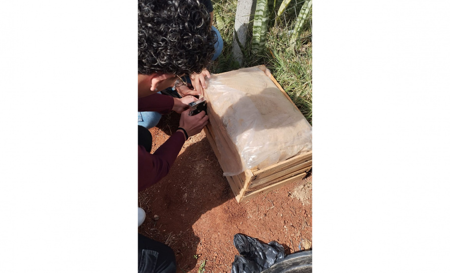 Educação ambiental: estudantes de colégio estadual em Arapoti transformam lixo orgânico em adubo para horta